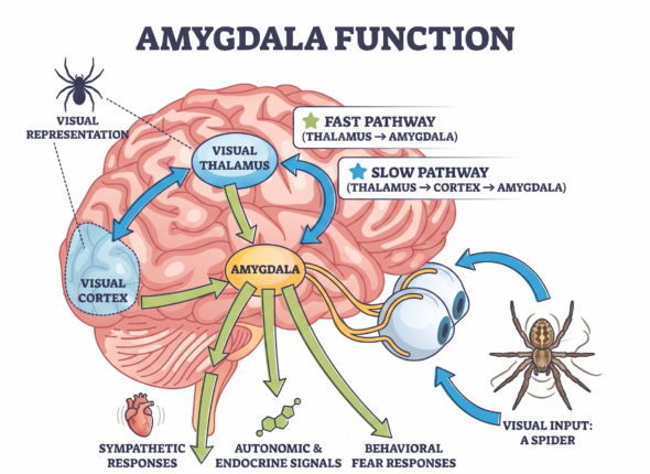 Gemini_Generated_Image_a0vasa0vasa0vasa